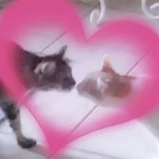 💞