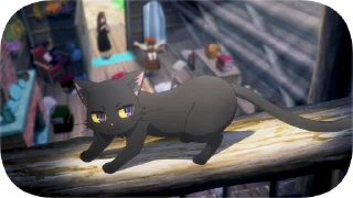 😺