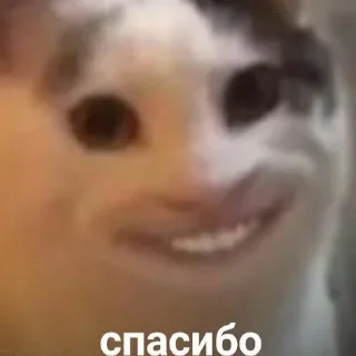😄