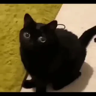👀