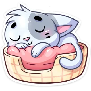 💤