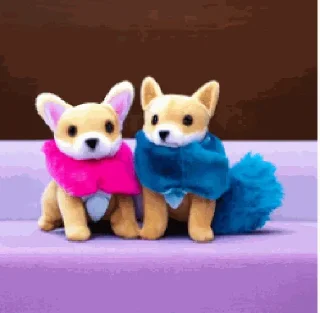 🐶