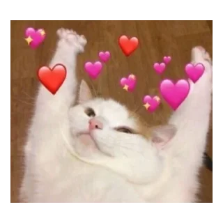 😍