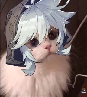 😺