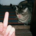 🖕