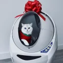 😺