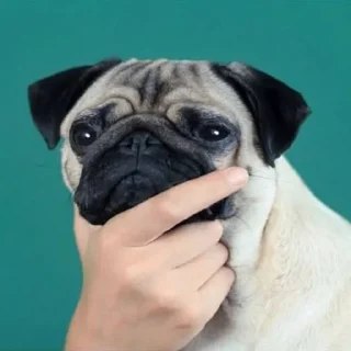 🤔