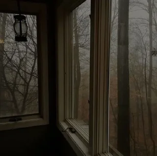 🍂