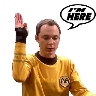 🙋