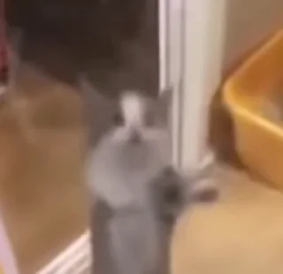 🥳