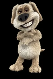 🐶