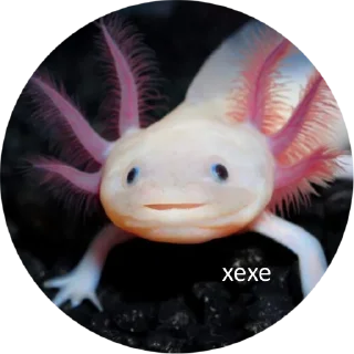 🙂