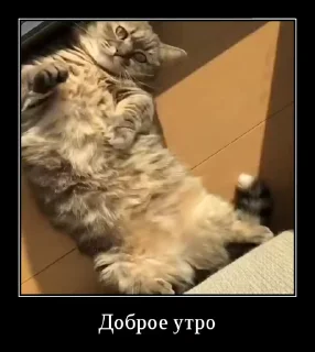 🥸