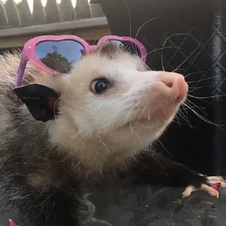 😧