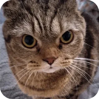 😨