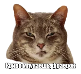 😡