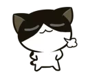 🐱