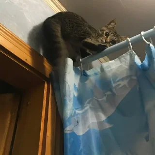 🙃
