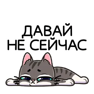 😴