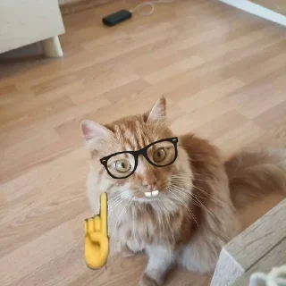 🤓