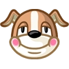 Party Dog
