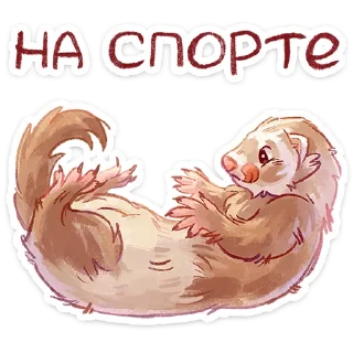 ⭐