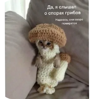 🧶