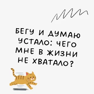 😺