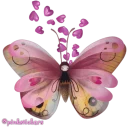 🦋