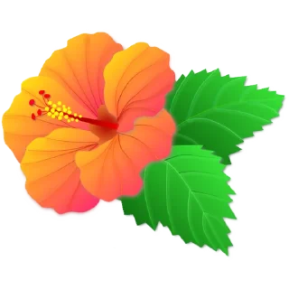 🌺