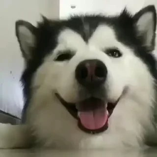 😏