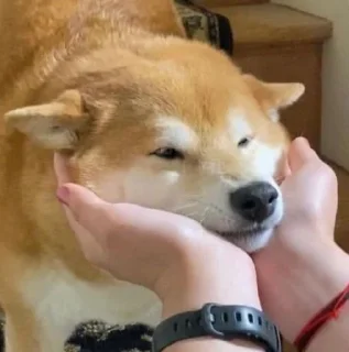 💞