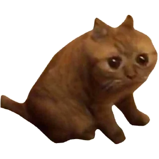 😵