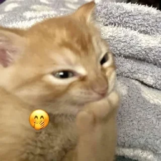 🤭