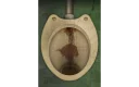 🚽