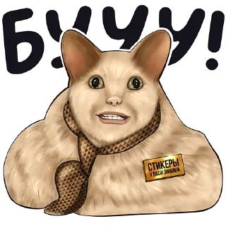 🐱