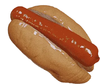 🌭