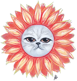 Котошарики @anna_miroslava