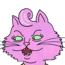 😼