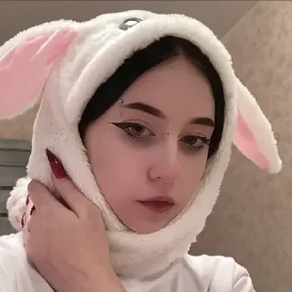 🐰