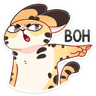 👉