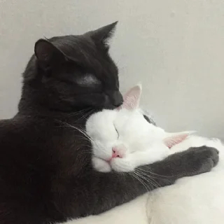 🥰