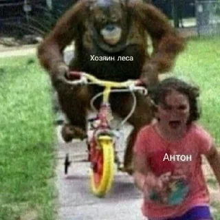 🏃‍♂