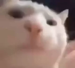 💃
