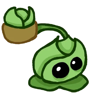 🥬