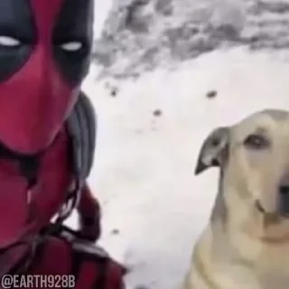 📷