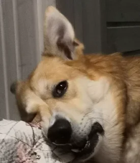 😒