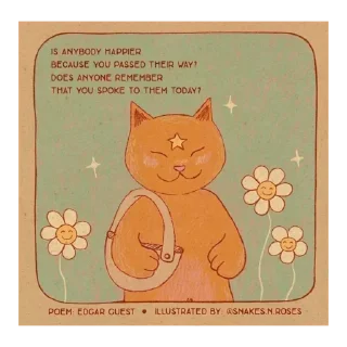 ✨