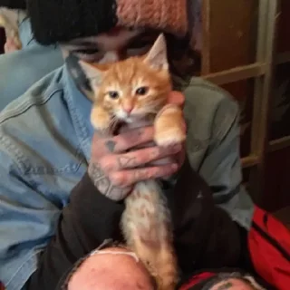 🤗