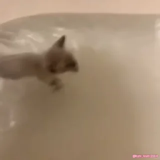 😢